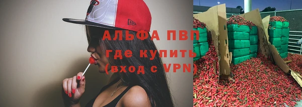 винт Тайга
