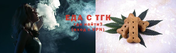 винт Тайга