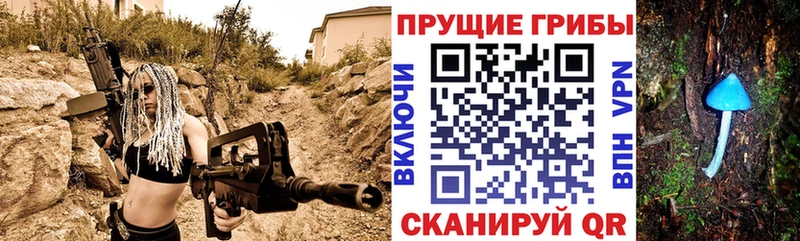 что такое   Мантурово  Галлюциногенные грибы GOLDEN TEACHER 